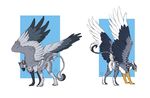  acidapluvia anus avian butt female feral gryphon non-anthro plain_background presenting presenting_hindquarters pussy solo veshiri white_background wings 