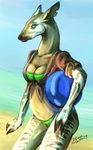  beach beach_ball bikini female okapi riftryu seaside skimpy solo summer swimsuit 
