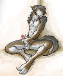  afterglow canine cum ear_piercing earring erection jax_the_bat male masturbation penis piercing precum sitting solo wolf 