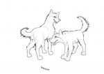  anatomically_correct canine canine_penis canine_pussy female feral male penis pussy sheath wolf wuf 