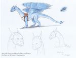  dragon eragon female feral model_sheet saddle saphira scalie solo strecno wings 