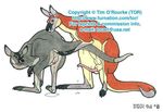  annoying_watermark female feral kangaroo male marsupial penis pussy randy_muledeer straight 
