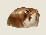  animal frog kodama_(artist) no_humans plump simple_background solo stare staring 