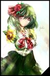  alternate_costume backlighting bad_id bad_pixiv_id blouse blush border bow breasts character_name flower green_hair hair_flower hair_ornament kazami_yuuka medium_breasts red_eyes red_flower red_rose rose short_hair solo sunflower suzuchi1218 touhou 