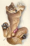  2006 balls blue_eyes canine canine_penis countershading detailed erection hindpaw knot male nude penis pinup sara_palmer simple_background solo wolf 