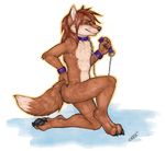  canine collar dingo korrok leash male mammal nude plain_background sabre solo white_background 