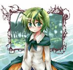  antennae cape forest green_eyes green_hair nature short_hair solo suichuu_hanabi touhou wriggle_nightbug 