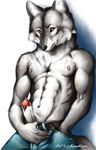  anthro karabiner male mammal penis plain_background solo tail topless white_background wolf 