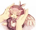  :3 =_= alternate_animal_ears animal_ears bad_id bad_pixiv_id cat_ears chibi hands hat kemonomimi_mode masirosu minigirl mystia_lorelei pink_hair sitting solo touhou wings 