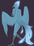  avian balls bird blue blue_feathers celestina feathers girly glow glowing male phoenix sketch solo taasla 