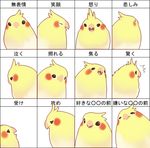  animal beak bird chart expressions eyes_closed feathers fishball happy no_humans open_mouth sad simple_background translation_request 