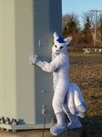  9-tails canine fox fullsuit fur fur_suit fursuit kitsune mammal multi_tails multiple_tails nara real solo suit tail 