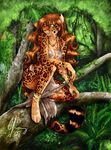  branch candy_palmer candyjanney feline female jungle leopard skimpy solo torn_clothing 