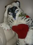  blue_eyes fursuit real rose rose_in_mouth skimpy solo zig_zag 
