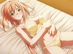  bed bra brown_hair fuyu_no_rondo game_cg green_eyes panties tagme_(character) underwear yasuyuki 