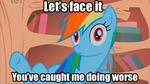  caption equine friendship_is_magic horse image_macro implied_masturbation my_little_pony pony rainbow_dash_(mlp) 