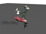  flower inanimate plant pwet tagme 