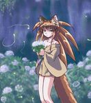  brown_hair female forest fox_ears hair kemonomimi kitsunemimi solo tail tree unknown_artist wood 