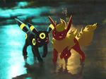  duo eeveelution feral flareon hi_res joker looking_at_viewer nintendo pok&#233;mon pok&eacute;mon reflection tail umbreon unknown_artist video_games 