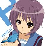  bad_id bad_pixiv_id bangs bird bluebird brown_eyes cardigan grey_hair kita_high_school_uniform nagato_yuki school_uniform serafuku short_hair solo sosdankaridanin suzumiya_haruhi_no_yuuutsu 