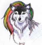  canine onezumi rainbow solo wolf 