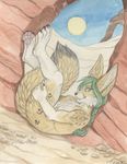  canine desert fennec fox male phenique sangluna solo 