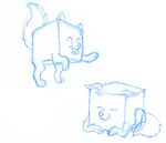  bencoon canine cube fox hybrid what_has_science_done 