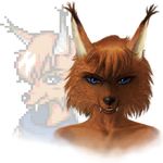  alef animal_ears blade8531 blue_eyes canine colored fang fangs female fox looking_at_viewer mammal pixel portrait sega shining_(series) shining_force solo teeth video_games vixen 