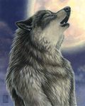  ambiguous_gender canine eyes_closed howl kacey male mammal moon solo wolf 