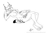  feline female lynx lynxwing nude reclining sandra_gaeremynck solo tame 