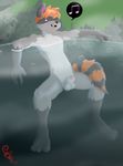  dustywaber hot_spring male orange penis raccoon solo yves-alphonse ♫ 