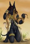  anubis egyptian_mythology mythology tagme 