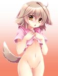  animal_ears bare_legs blush bottomless brown_hair dog_ears dog_tail embarrassed hands_on_own_chest highres open_mouth original short_hair solo tail takitsume_shino yellow_eyes 