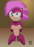  dp sonia_the_hedgehog sonic_team tagme 