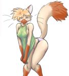  blush breasts cat erect_nipples erika erika_(meesh) feline female nipples panties raised_tail ritts siamese solo tail tight underwear white_background 