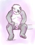  fat gazpacho male nude panda sheath solo 