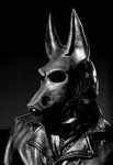  anubian_jackal canine fursuit hawkwolf human jackal latex leather male mask monochrome photo portrait real rubber solo 