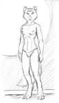  canine digitigrade female fox melika peta_hewitt sketch solo terinu topless underwear 