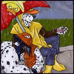  aerynoustinne dalmookie duck female hoodie hybrid male noit poncho rain rayndee sitting spots umbrella wet 