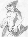  artimas bulge fangs fins gills male marine muscles open_mouth scalie shark sketch solo speedo standing swimsuit tail underwear 