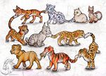  blue_eyes cat cheetah cub cute eyes_closed feline fur green_eyes jaguar kitty_train kyuubreon leopard lion lynx mammal orange_fur paws serval snow_leopard stripes tiger yellow_eyes yellow_fur young 