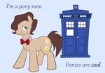  blue_eyes bow_tie brown_hair crossover doctor_who doctor_whoof_(mlp) doctor_whooves_(mlp) english_text equine feral friendship_is_magic hair horse hourglass male mammal matt_pony my_little_pony plain_background ponies_are_cool pony solo tardis text unknown_artist 