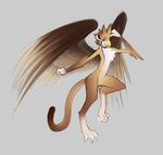  avian beak blue_eyes brown brown_feathers brown_fur claws feathers fur gryphon looking_at_viewer male markings sketch skinny solo tail tsampikos wings 