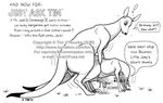  annoying_watermark black_and_white female feral humour kangaroo male marsupial monochrome randy_muledeer straight 