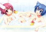  :3 :d :o animal_ears arm_support bangs bath bathing bathroom bathtub beret blue_eyes blue_hair blush breasts bubble_bath bunny_ears cat_ears clenched_hand convenient_censoring covering covering_breasts flat_chest folded_ponytail from_side hair_between_eyes hair_ornament hair_up hairclip happy hat indoors knees_up looking_at_viewer medium_breasts multiple_girls nude onka open_mouth original partially_submerged pink_eyes pink_hair rubber_duck sakura_(usashiro_mani) shared_bathing short_hair sitting smile soap_bubbles soap_censor surprised tile_wall tiles toy usashiro_mani 