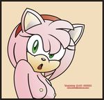  amy_rose breasts bust female solo sonic_(series) taison 