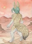  background canine fennec fox male nude phenique sangluna solo 