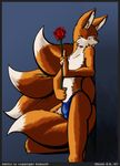  2007 blue_eyes bulge canine fox kitsune leaning male multiple_tails orange rose shiuk solo standing tail 