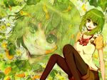  absurdres bad_id bad_pixiv_id flower green_eyes green_hair gumi highres pantyhose short_hair smile solo velia vocaloid zoom_layer 