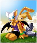  2007 back_to_back bat blue_eyes breasts brown bunnie_rabbot chalo day eyes_closed female grass_field hair lagomorph long_ears midriff outside rabbit rouge_the_bat sitting sonic_(series) white_hair wings 